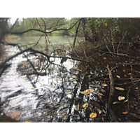 Kingtide Troop 824 image